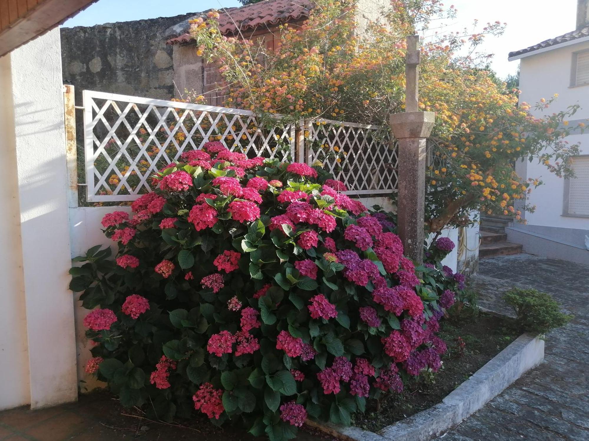 Casa Reboredo Pontevedra Dış mekan fotoğraf